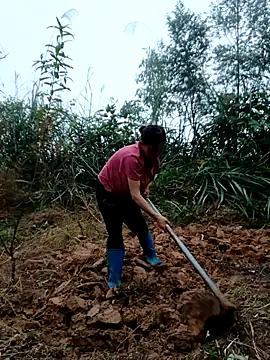 Snapshot of kemtuoi-sex chatting on October 31, 8:37 am kemtuoi-sex online show from October 31, 8:37 am