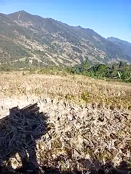 Snapshot of kemtuoi-sex chatting on November 30, 3:32 am kemtuoi-sex online show from November 30, 3:32 am