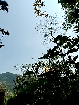 kemtuoi-sex online show from April 8, 3:17 am