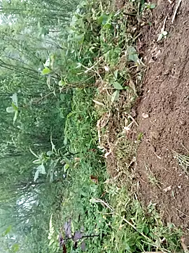 kemtuoi-sex online show from April 19, 9:41 am