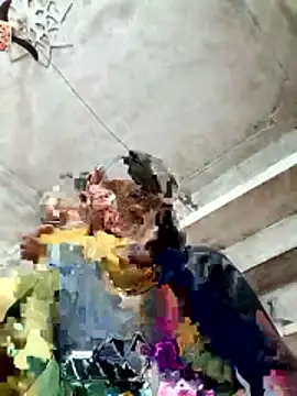 Cm pooja online show from January 10, 10:39 am