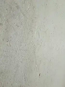 kata-00 online show from March 15, 4:18 am