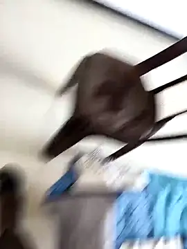 Snapshot of Chanderi19 chatting on September 30, 9:25 am Chanderi19 online show from September 30, 9:25 am