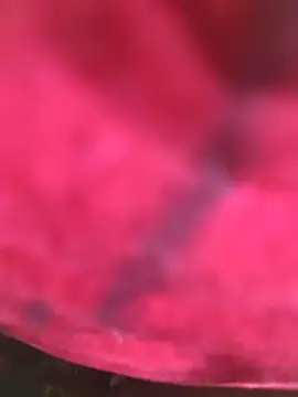 Chanderi19 online show from December 3, 6:17 pm