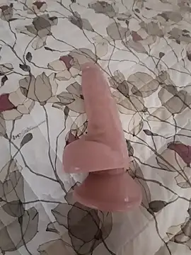 Snapshot of gattosilvestro1974 chatting on October 20, 12:49 pm gattosilvestro1974 online show from October 20, 12:49 pm