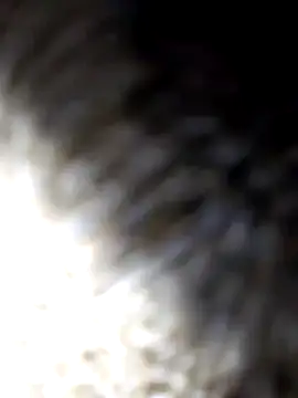 adem63636 online show from March 8, 2:04 am