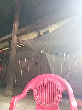 riso-00 online show from October 21, 5:08 am