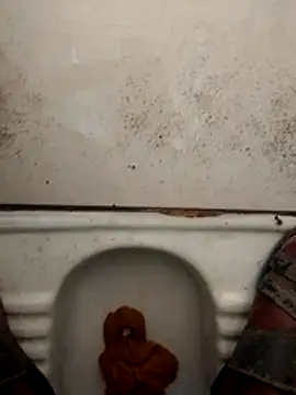 haryanaboypanipat12 online show from March 17, 1:21 am