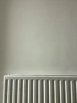 dlasian2026 online show from October 31, 11:06 pm