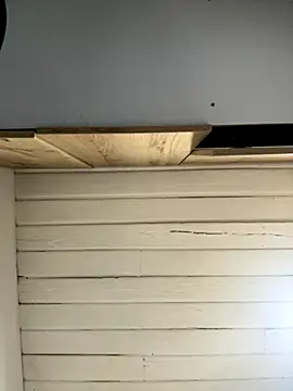 SienaWild online show from December 1, 3:11 am