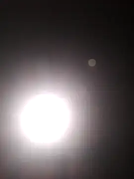 Cachorrinha2025 online show from October 22, 5:45 pm