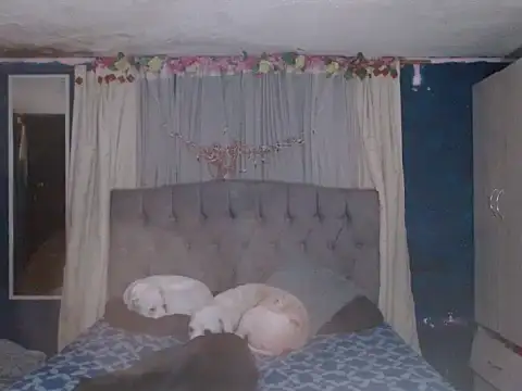 skarleth hot21 online show from October 25, 4:31 am