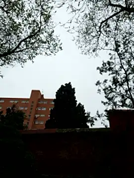 oliver sanders online show from March 9, 8:29 am