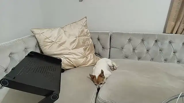 Snapshot of BarbieKarly chatting on December 1, 1:21 am BarbieKarly online show from December 1, 1:21 am