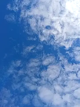 matatan0323 online show from April 13, 2:11 pm