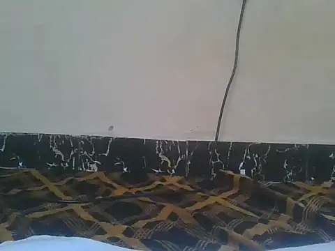 Naughty queen20 online show from April 13, 7:47 am