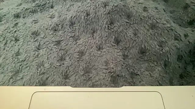 Snapshot of 23istanblue23 chatting on April 2, 3:20 pm 23istanblue23 online show from April 2, 3:20 pm