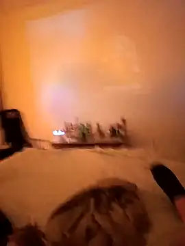 Pedroomp online show from May 3, 8:53 am