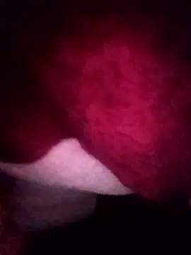 gccnfxdgg online show from January 16, 2:54 pm