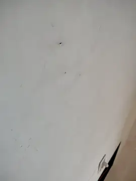 bhabh1 online show from October 8, 7:39 am