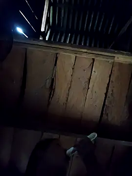 callistra online show from October 6, 8:23 am