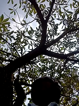 Snapshot of ipvk chatting on March 2, 7:15 am ipvk online show from March 2, 7:15 am