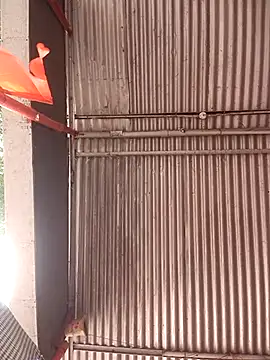 ipvk online show from April 21, 7:03 am