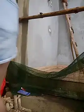 phuongxinhxan online show from March 22, 12:25 am