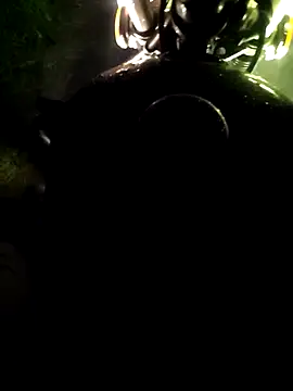 DICKLANKA online show from April 15, 2:13 pm