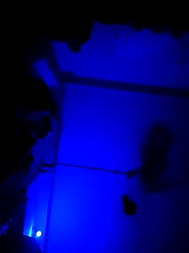 chunkyguy98 online show from October 6, 7:22 pm