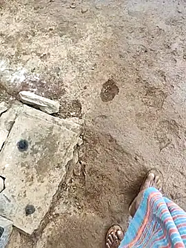 telugumodda4396 online show from October 27, 5:55 am