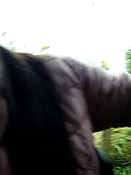 Snapshot of abigail-00 chatting on December 14, 9:25 am abigail-00 online show from December 14, 9:25 am