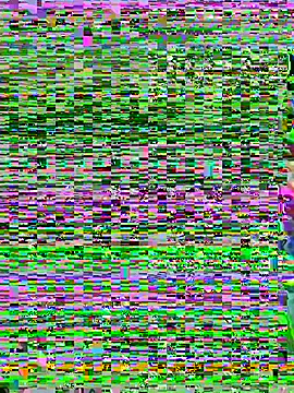 aoyo66 online show from November 5, 12:16 pm