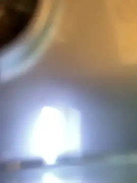 miumiu-66 online show from April 24, 9:12 am