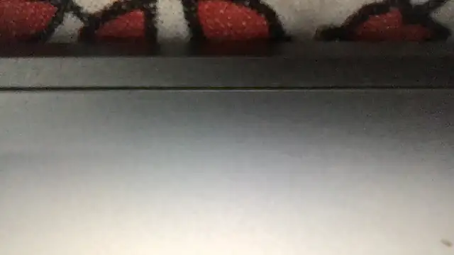 paula19800 online show from November 25, 6:19 pm