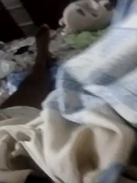 Dchocolatina online show from December 19, 11:39 am