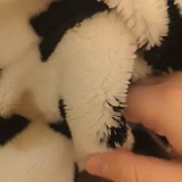 Snapshot of Geilerboy262 chatting on November 15, 10:15 pm Geilerboy262 online show from November 15, 10:15 pm