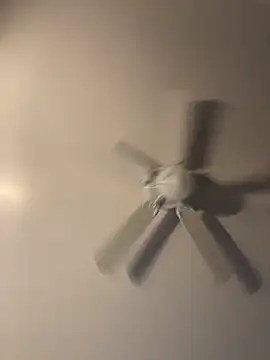 Snapshot of pmonie chatting on November 16, 12:05 am pmonie online show from November 16, 12:05 am