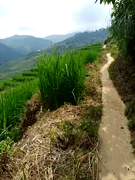 nhinhi-sexy online show from October 10, 5:39 am