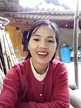 lmc-zz online show from November 30, 2:48 am