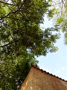 Rs sonam online show from April 8, 10:48 am