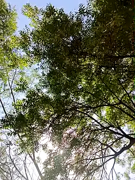 Rs sonam online show from April 13, 9:15 am