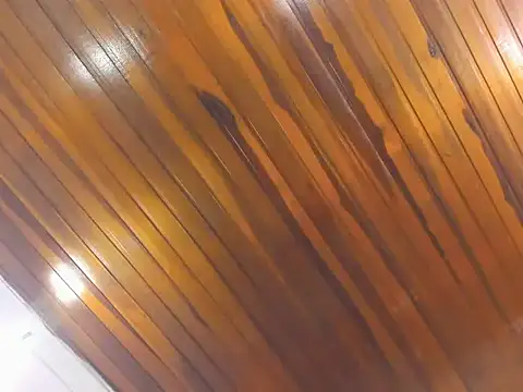 Snapshot of AliceCat_01 chatting on November 14, 4:33 am AliceCat 01 online show from November 14, 4:33 am