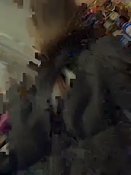 Snapshot of silentasachurchmouse chatting on December 3, 4:16 pm silentasachurchmouse online show from December 3, 4:16 pm