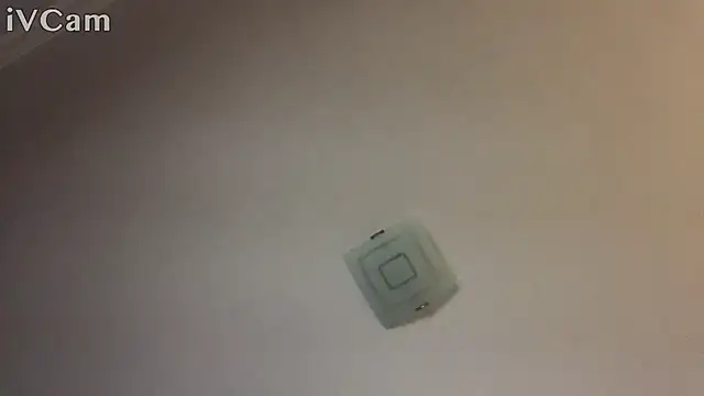 Snapshot of XxvanxX chatting on November 14, 6:50 pm XxvanxX online show from November 14, 6:50 pm