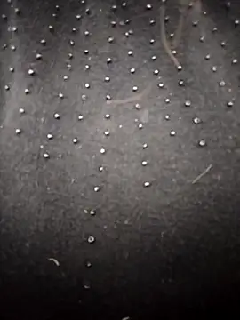 PEEHU-50 online show from March 26, 2:17 am