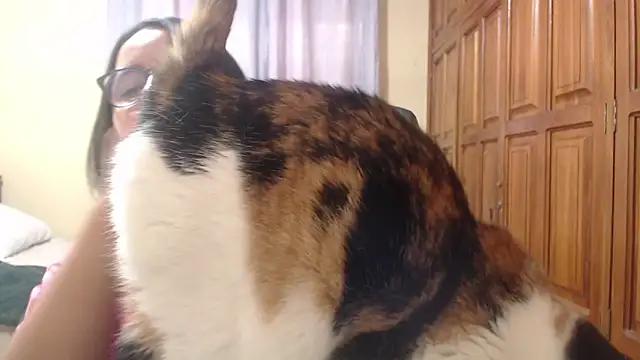 Venus cat  online show from February 8, 9:18 pm