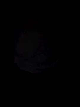 Curious9884 online show from October 4, 1:31 pm