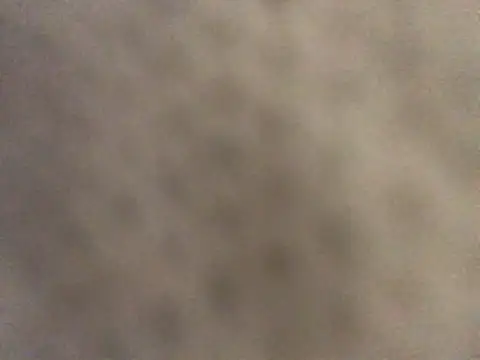 pleasedontpressaredburton online show from January 16, 2:54 pm