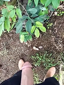 Sikici0734 online show from February 26, 8:24 am